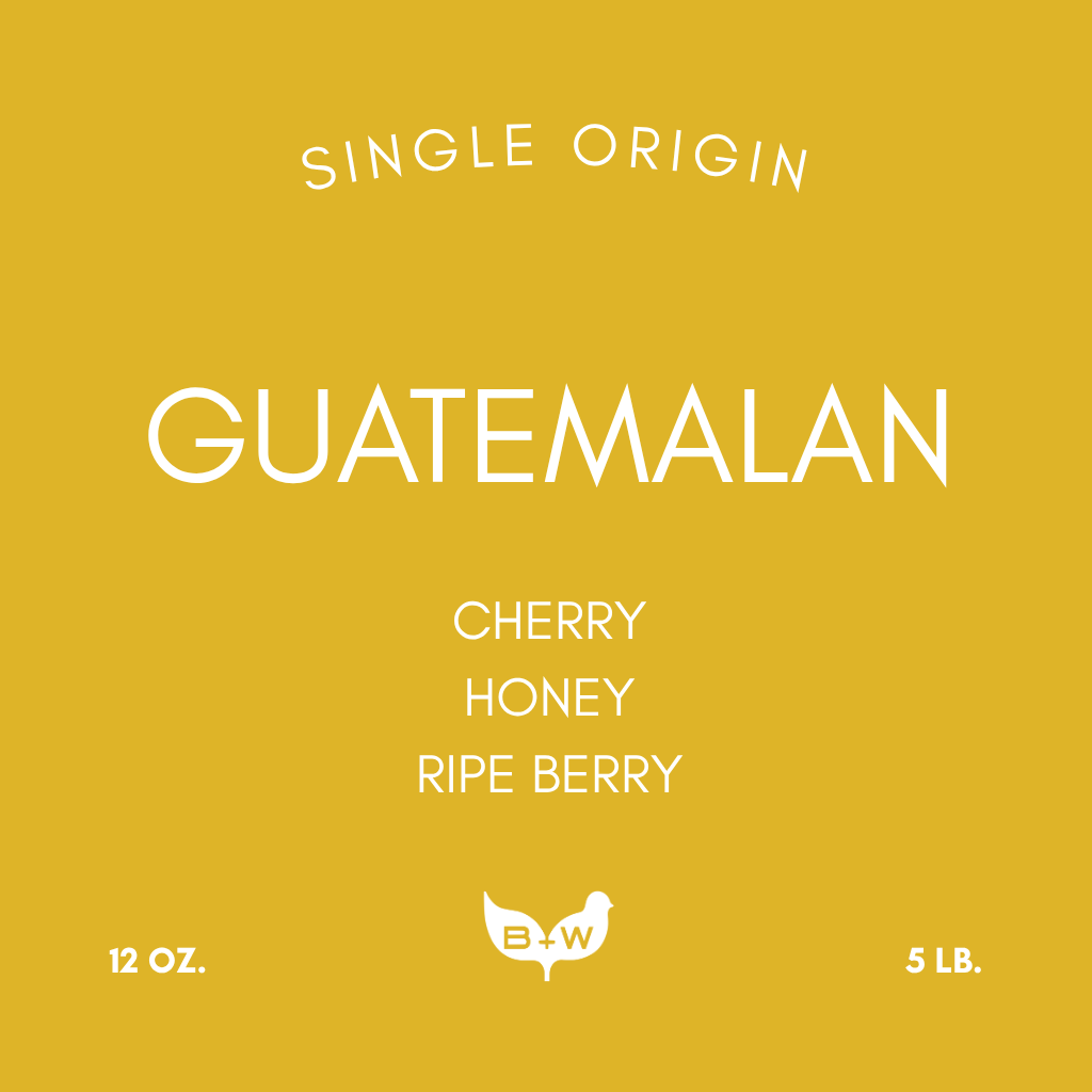 GUATEMALA HUEHUETENANGO SHB EP