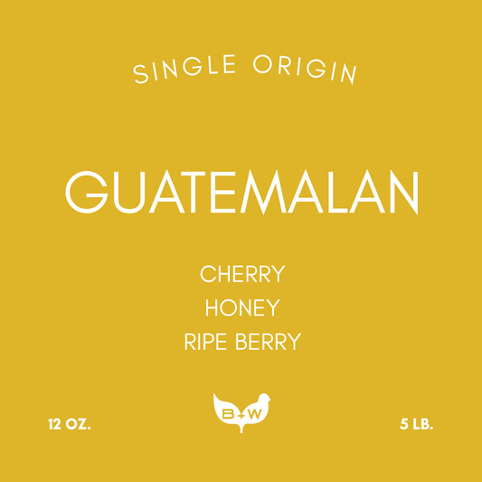 GUATEMALA HUEHUETENANGO SHB EP
